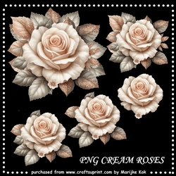 Cream Roses PNG