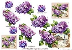 Step By Step French Flowers