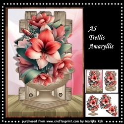 Trellis Amaryllis Mini Kit