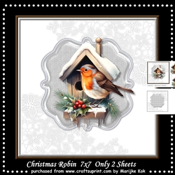 Christmas Robin Mini Kit