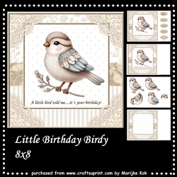 Little Birthday Bird Mini Kit