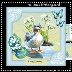 Duck Birthday card Mini Kit