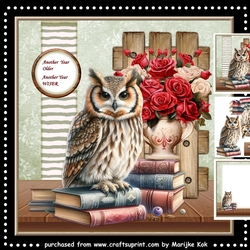 Wise Owl Mini Kit