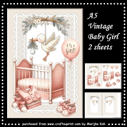 A5 Vintage Baby Girl Mini Kit