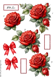 Step By Step red Roses