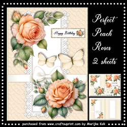 Perfect Peach Roses A5 Mini Kit