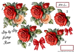 Steo By Steo Vintage Roses