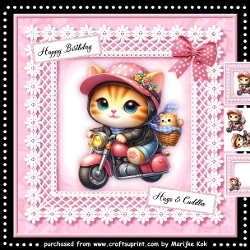 Motorbike Kitten Mini Kit