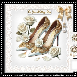 Wedding Shoes Mini Kit