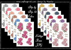 Bumperkit Step By Step Vimtage Roses