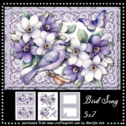 Bird Song Mini Kit