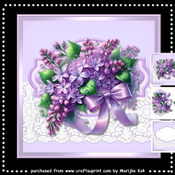 Lilac Beauty Mini Kit
