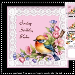 Spring Bird Mini Kit