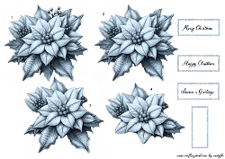 Step By Step   Blue  Poinsettia´s 