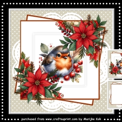 Christmas Robin Mini Kit