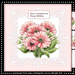 Gorgeous Gerbera´s Mini Kit