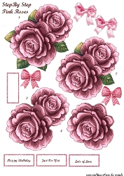Step By Step Pink Roses