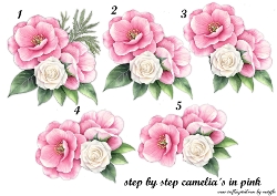 Step By Step Camellia´s