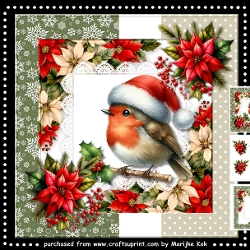 Christmas Robin Mini Kit