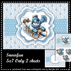 Snowfun Mini Kit