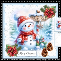 Ice Cold Snowman Mini Kit