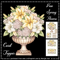 Vase  Spring Flowers Mini Kit