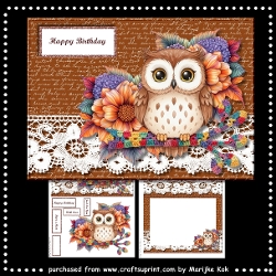 Birthday Owl Mini Kit