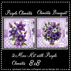 Kit with 2 Clematis in Purple