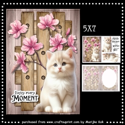 Cute Kitten In Garden Mini Kit
