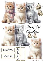 Step By Step Kittens