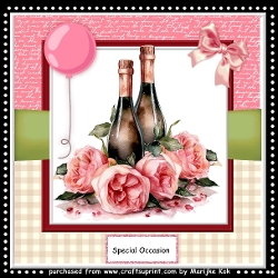 Champagne and Roses Mini Kit  8x8