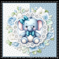 Cute baby Boy Mini Kit