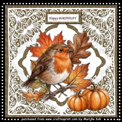  Robin´s   Autumn    Mini Kit