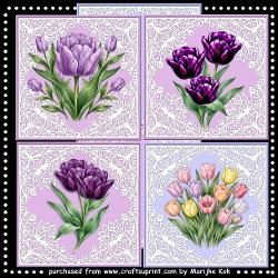 Tulips Card Toppers Kit & Inserts