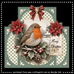 Shaped Christmas Robin Topper Mini Kit