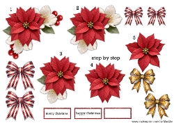 Step by Step Vignette Poinsettia Flowers
