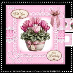 Summer Plant Mini Kit