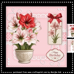 Flower Pot Amaryllis Mini Kit