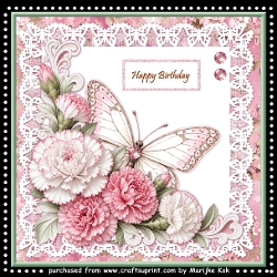 Carnations and butterfly lace  