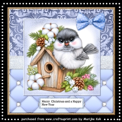 Cute Winter Birdhouse Mini Kit