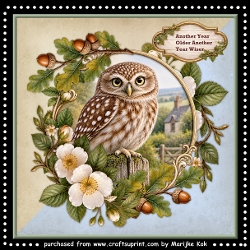 Male Card Wise Owl Mini Kit 8x8