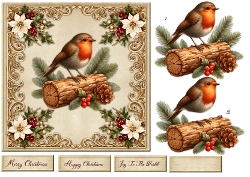 Quick Card Vintage Robin 7x7