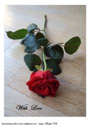 The Rose -