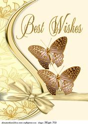 Best Wishes