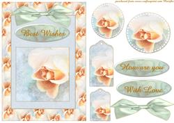 Soft Pastel Roses