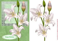 Lillys