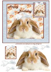 Happy Birthday Sweetheart Bunny
