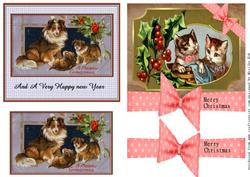 Cats and Dogs