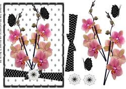 Modern Design Orchids in Black and White