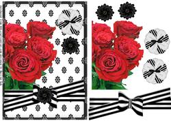 Modern Design Black and White Androses